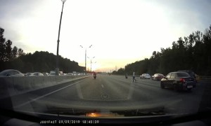 Rescuing a Dog from Freeway Fast Lane