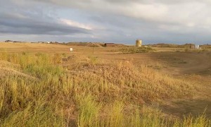 Little Tyke Can Handle a Bike