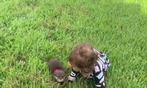 Baby plays in grass with cute baby otters