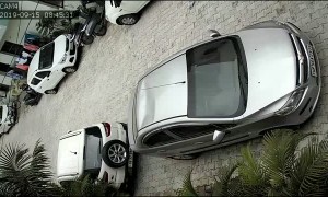 Monkey Uses Car as Trampoline