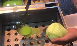 A Lesson in Making Lettuce