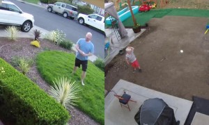 Bull's Eye With Wiffle Ball