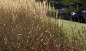 SUV Got Sunk in Gurnee