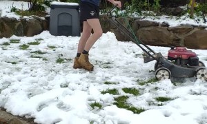 A Mow Through Snow
