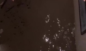 House Fills up with Floodwater