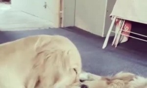 When a Tug of War Last Too Long