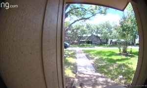 Delivery Driver Dilemma Pays Off