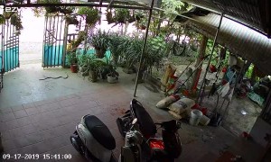 Snake Greets Homeowner with a Strike