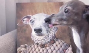 Posing with Portrait