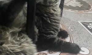 Not Hitting the Spot