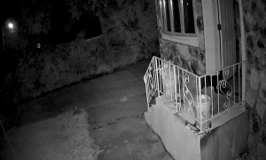 Burglars Run Screaming After Waking Homeowner