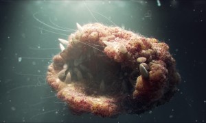 The Creature of Your Nightmares