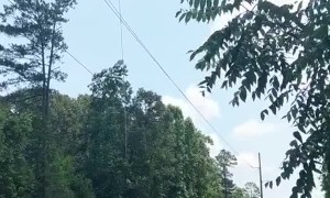 Helicopter Hovers and Trims the Trees