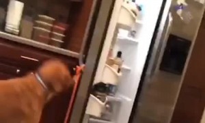 Good Boy Boone Gets Beverage