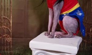 Super Hero Kitty Cat