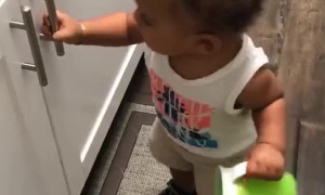Frustrated Toddler Tries to Open Cabinet