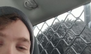 Man Hides in Car from Boisterous Black Bear