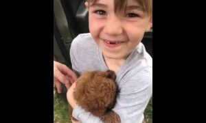 Kid ecstatic after receiving brand new puppy