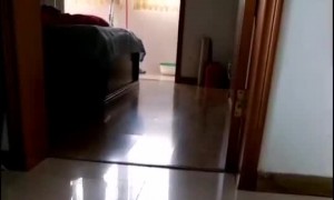 Cat Claims Victory Over Crustacean