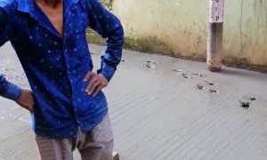 Doggo Dashes Through Wet Cement