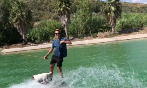 Doctor Brushes Teeth while Riding Wave with his Dog