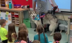 Kids sing 'Happy Birthday' to school's therapy dog