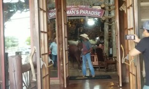 Steer Visits Texas Bass Pro Shop
