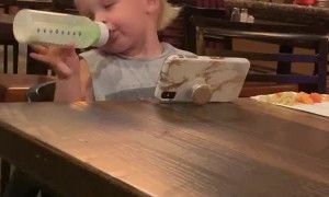 Little Tyke is Too Tired to Drink