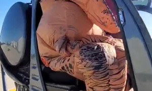 T-Rex Goes for a Helicopter Ride