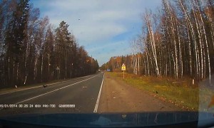 Falling Tree Causes Two Cars to Crash