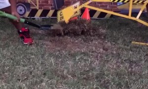 Construction Zone Gender Reveal