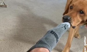 Something About This Trick Stinks