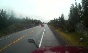 Moose Walks Away After Being Hit by Truck