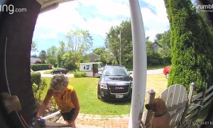 Camera catches mail courier adorably greeting family dog