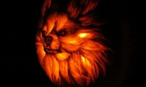 Artist carves incredibly realistic dog-o-lantern pumpkin