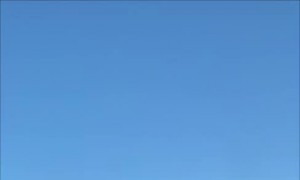 Horse Gallops Along Highway