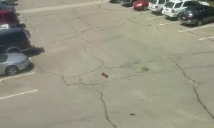 Bottle Takes a Surprising Bounce