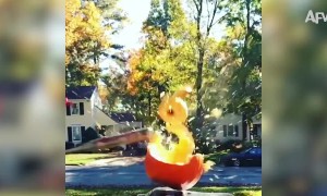 Pumpkin Destruction