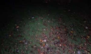 Pouncey Frolics at 4 AM