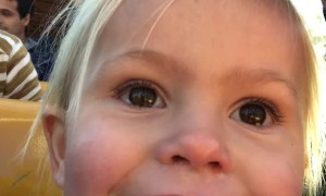 3 -Year-Old Has a Roller Coaster of Emotions on Theme Park Ride