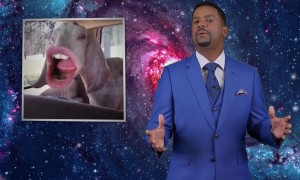 Alfonso's After Party - Pets Talk Back