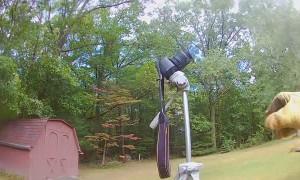 First-Person Perspective of Dismantling a Five-Foot Beehive