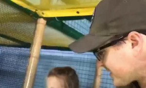 Playground Slide Doesn't Go Quite as Planned