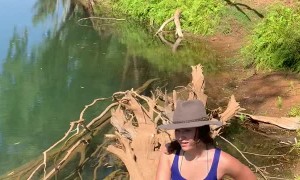 Close Encounter with a Hidden Saltwater Crocodile
