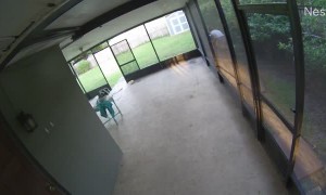 Excited Aussie Soars Through Screen