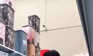 Supermarket Silliness