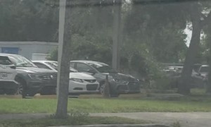 Truck Trying a Little Too Hard to Blend in