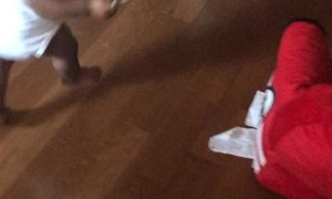 Baby Bolts with Mom's Money