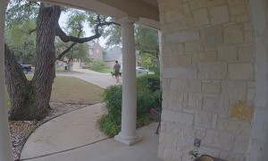 Neighbor Walking Dogs Returns Wallet