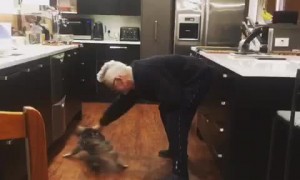 Taking the Cat for a Spin